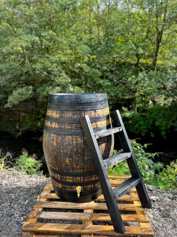 500L Sanded + Black Ladder